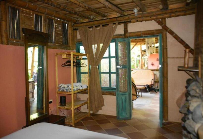 اتاق استاندارد, Jui Chi Mama