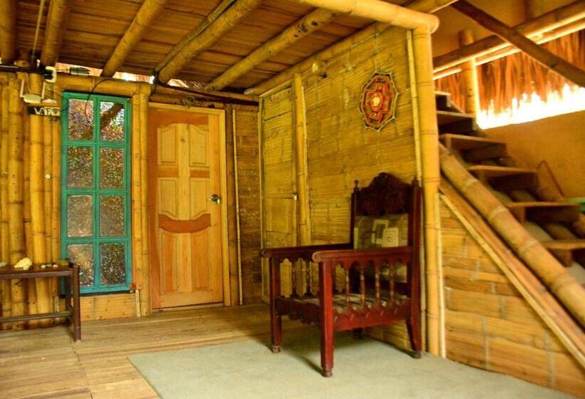 اتاق استاندارد با سرویس بهداشتی مشترک, Jui Chi Mama