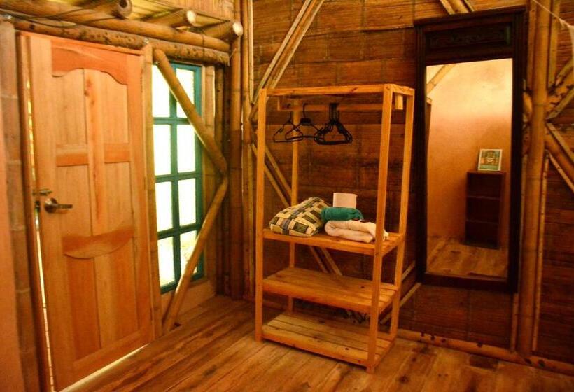 اتاق استاندارد با سرویس بهداشتی مشترک, Jui Chi Mama