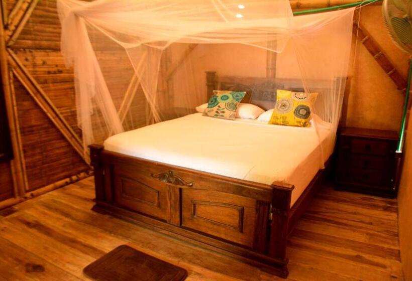 اتاق استاندارد با سرویس بهداشتی مشترک, Jui Chi Mama