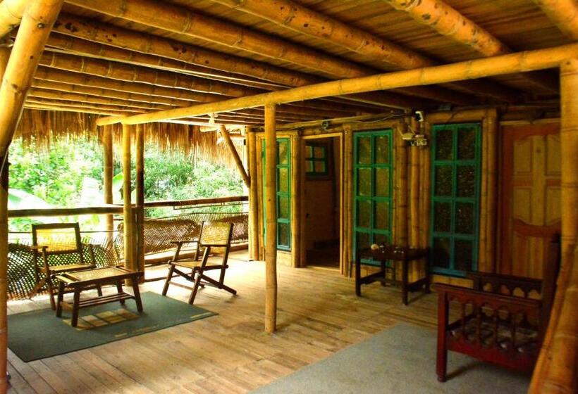 اتاق استاندارد, Jui Chi Mama