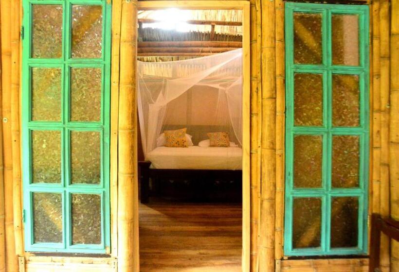 اتاق استاندارد, Jui Chi Mama