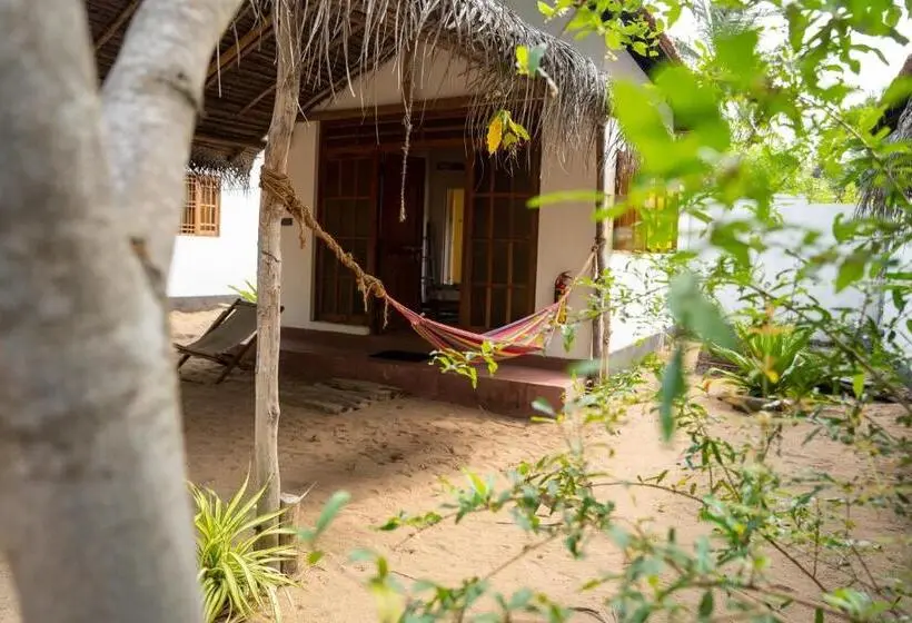 バルコニー付きスタンダードルーム, Margarita Kitesurfing School Sri Lanka