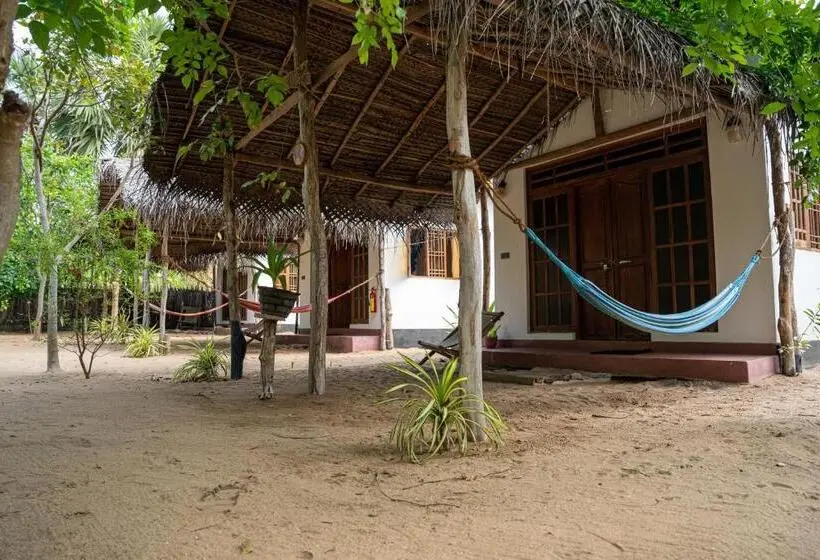 スタンダードルーム, Margarita Kitesurfing School Sri Lanka