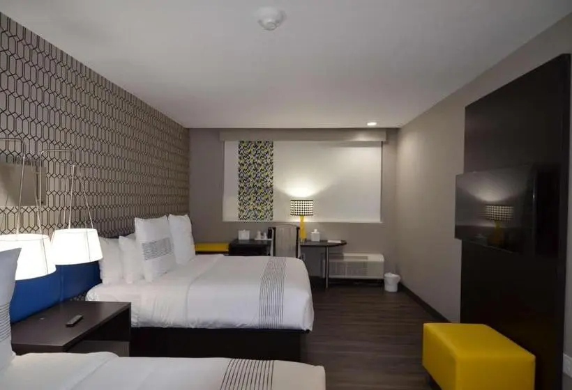 身障者適用スタンダードルーム, Glō Best Western Enid Ok Downtown   Convention Center