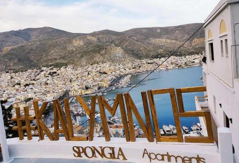 침실 1개 바다 전망 아파트, Spongia Apartments Kalymnos
