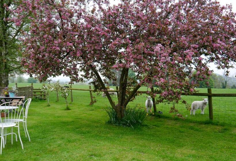 ベーシックルーム, Yew Tree Farm