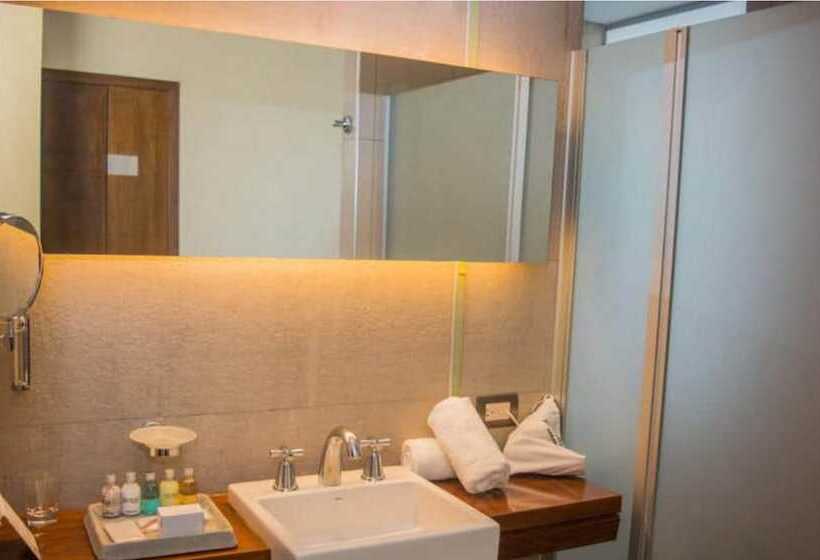 수피리어 룸, Del Bono Park