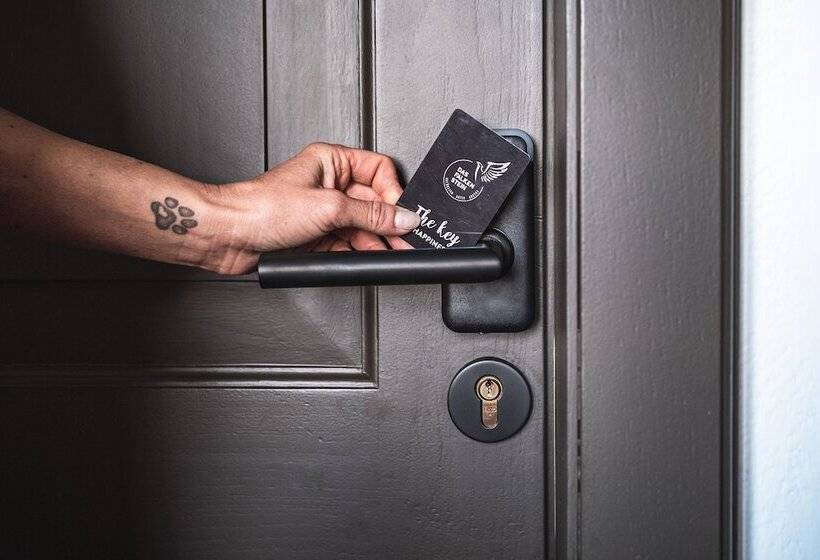 استودیوی لوکس, Das Falkenstein