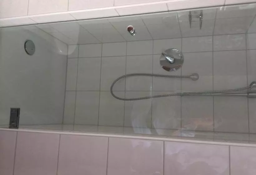 اتاق استاندارد, Gasthof Hotel Bauer