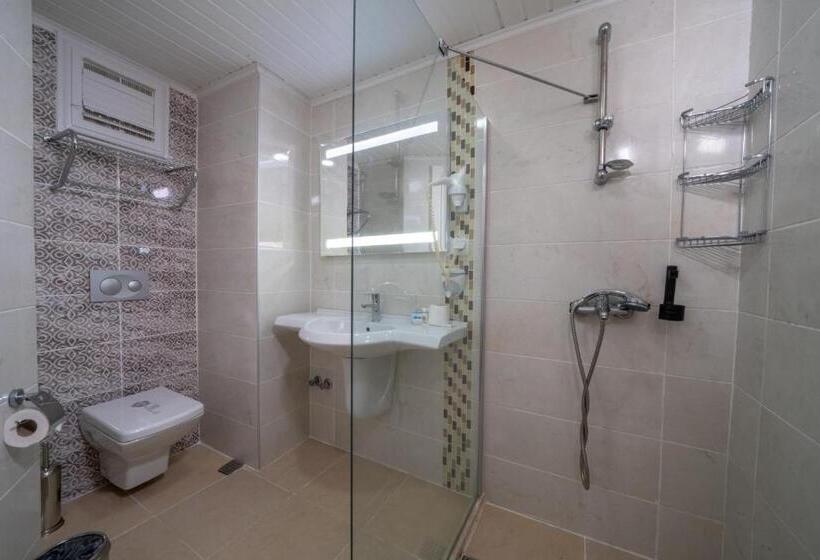 غرفة قياسية, Lykia Botanika Beach & Fun Club