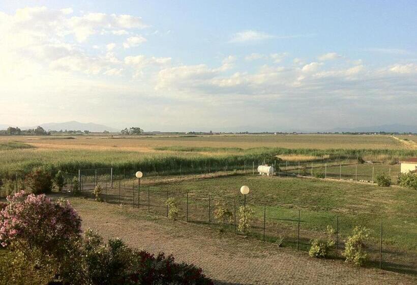 شقة غرفة نوم واحدة مزودة بشُرفة, Residence Il Tombolo