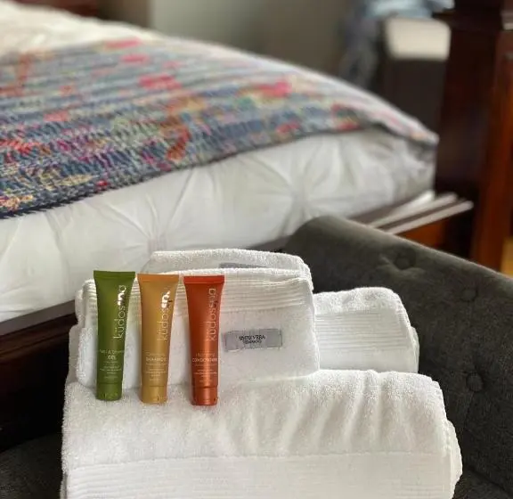 キングサイズベッドのデラックスルーム, Palmyra B&b