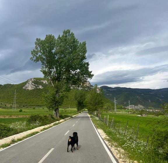 اتاق استاندارد با چشمانداز کوهستان, Adriatik Guesthouse