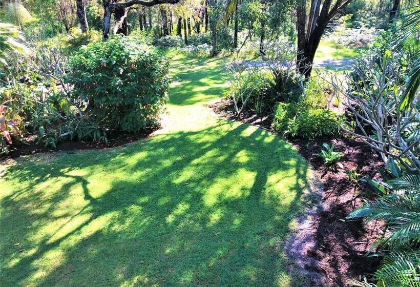 Апартаменты 1 Спальня Нижний Этаж, Hideaway Tweed Coast Holidays