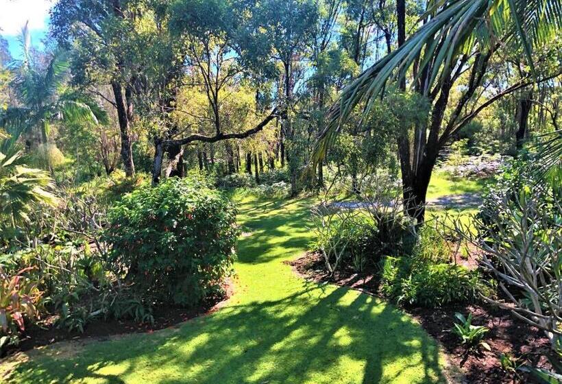 Апартаменты 1 Спальня Нижний Этаж, Hideaway   Tweed Coast Holidays