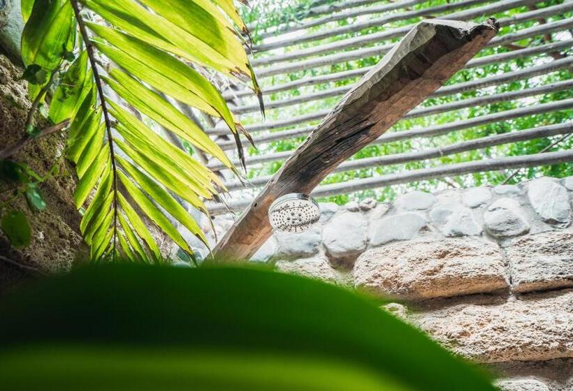 스탠다드 룸 가든 전망, Villa Del Sol