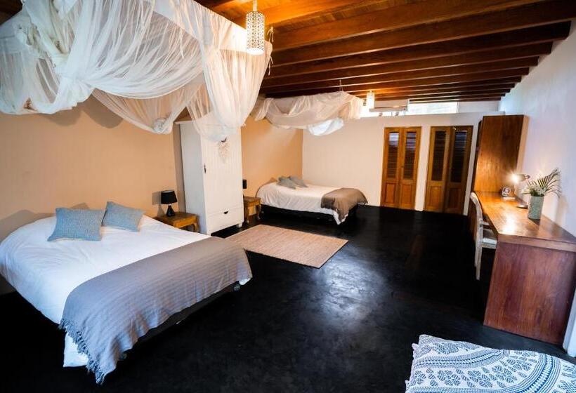 Номер Стандарт Вид на Сад, Villa Del Sol