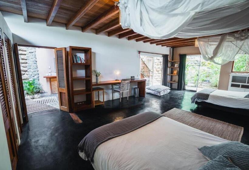 스탠다드 룸 가든 전망, Villa Del Sol