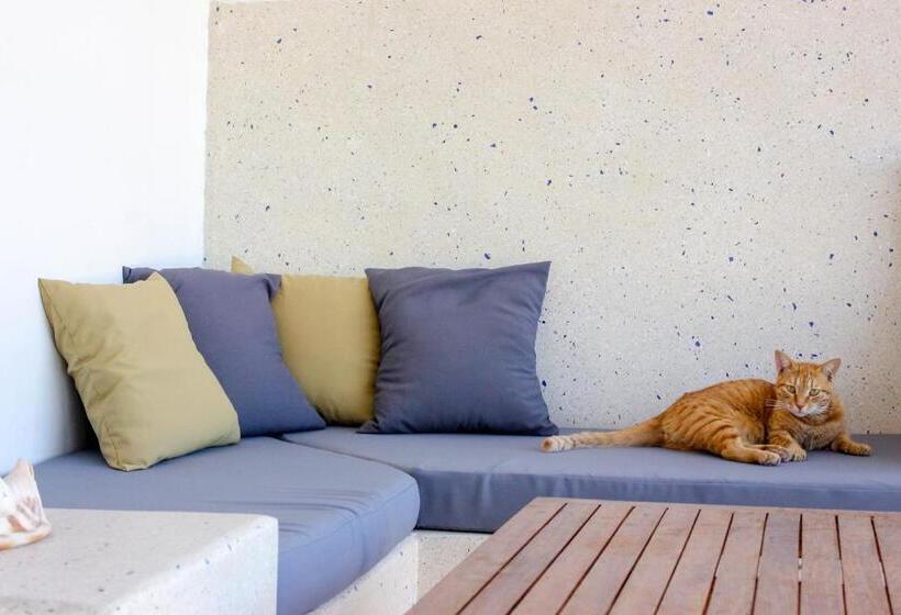 キングサイズベッドのスイートルーム, Paje White House