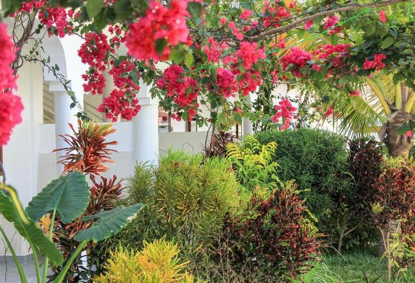 キングサイズベッドのスイートルーム, Paje White House