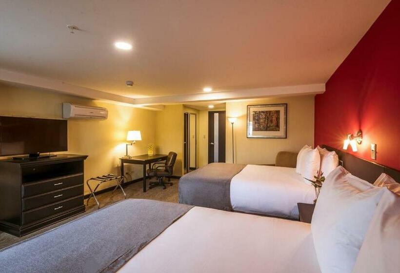 디럭스 주니어 스위트, Urban Green Hotel & Suites