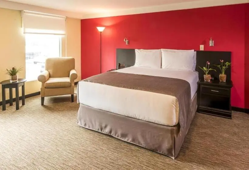 スーペリアールーム, Urban Green Hotel & Suites