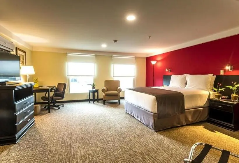 スーペリアールーム, Urban Green Hotel & Suites