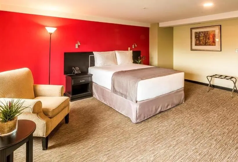 スーペリアールーム, Urban Green Hotel & Suites