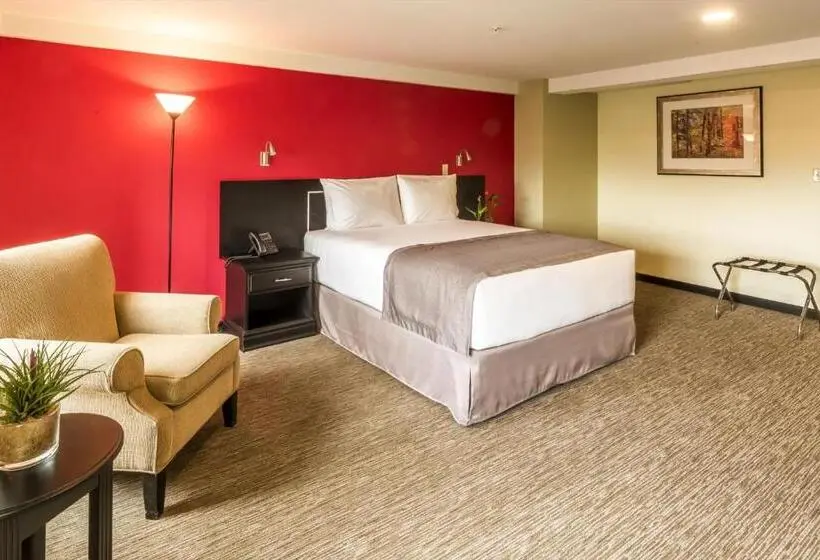 スーペリアールーム, Urban Green Hotel & Suites