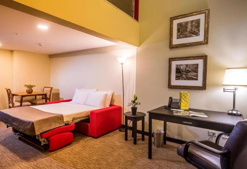패밀리 룸, Urban Green Hotel & Suites