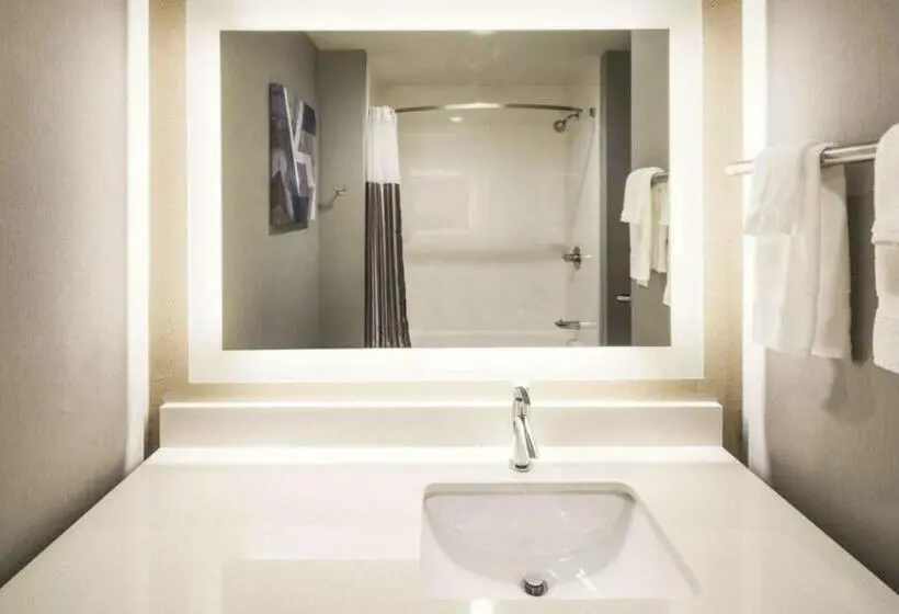 スタンダードルーム, La Quinta Inn & Suites By Wyndham Locust Grove