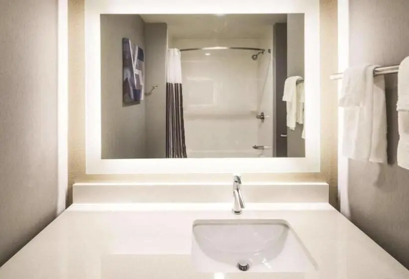 デラックススタジオ, La Quinta Inn & Suites By Wyndham Locust Grove