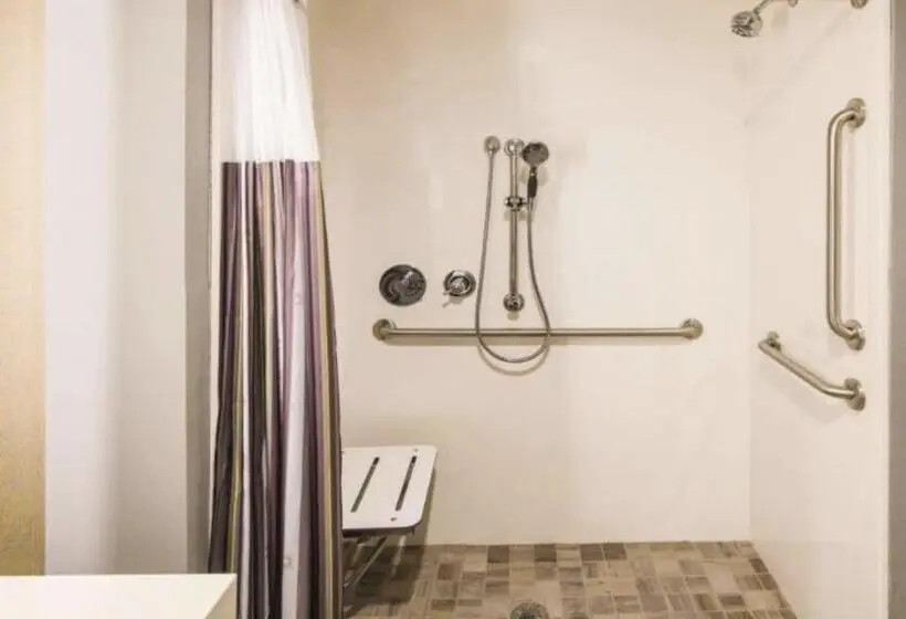 身障者適用キングサイズベッドルーム, La Quinta Inn & Suites By Wyndham Locust Grove