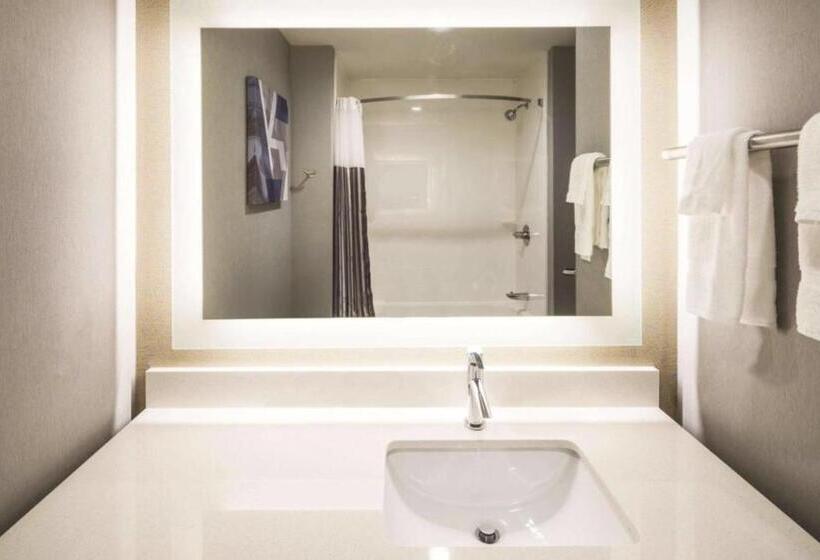 غرفة قياسية سرير كينج لذوى الإحتياجات الخاصة, La Quinta Inn & Suites By Wyndham Locust Grove