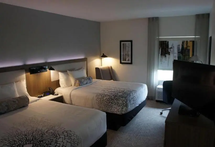 身障者適用スタンダードルーム, La Quinta Inn & Suites By Wyndham Locust Grove