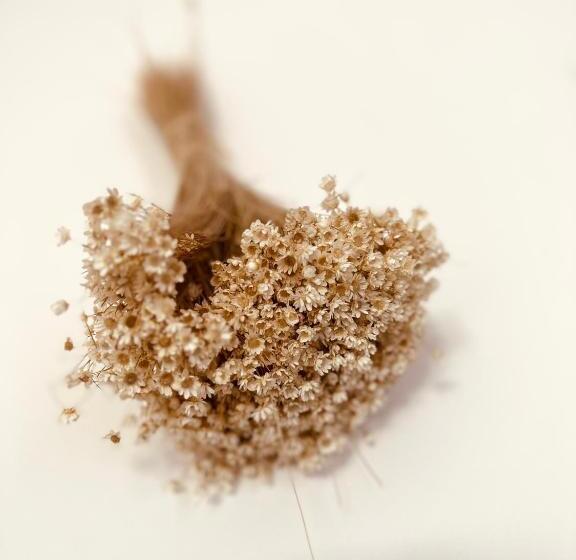 标准间带露台, 4 Saisons En Provence