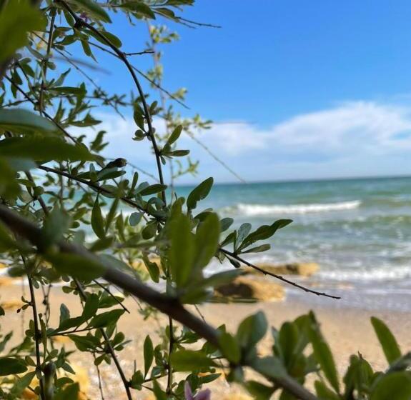 海景套房, Bukhta