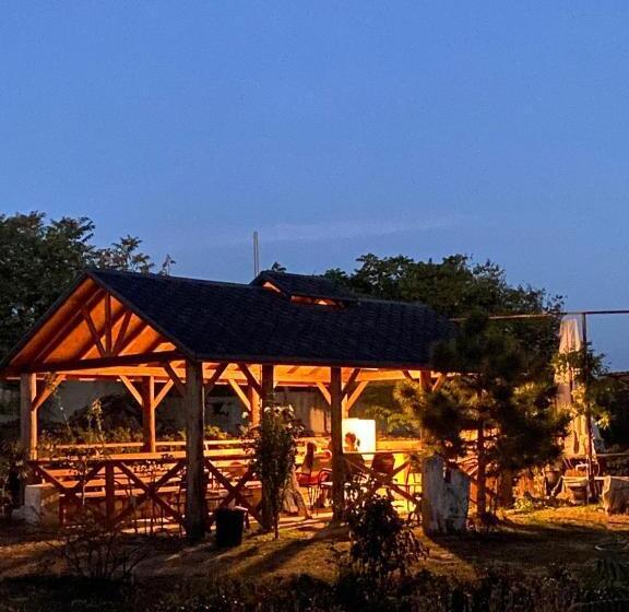 豪华工作室, Bukhta