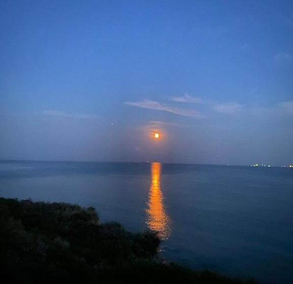 豪华工作室, Bukhta