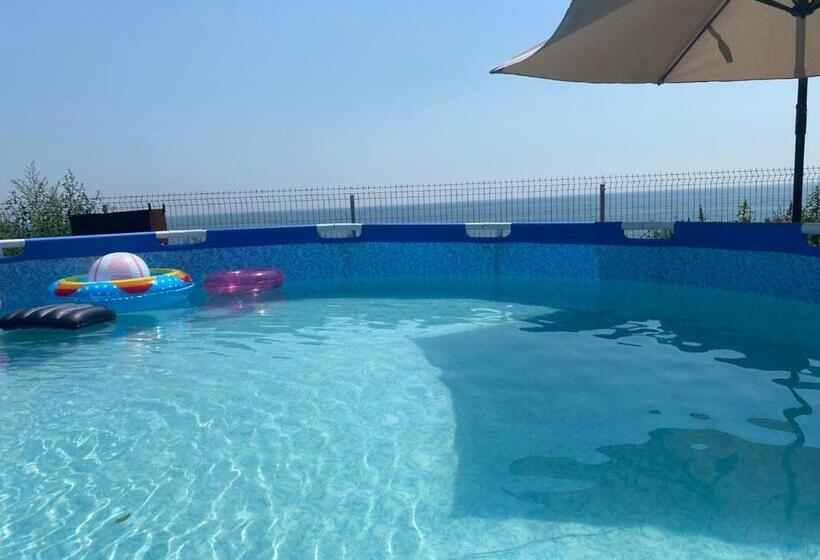 豪华工作室, Bukhta