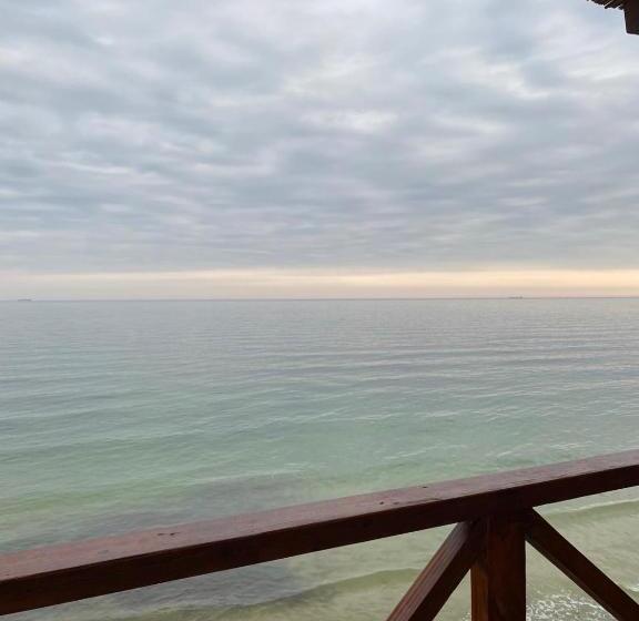 1间卧室的房子, Bukhta