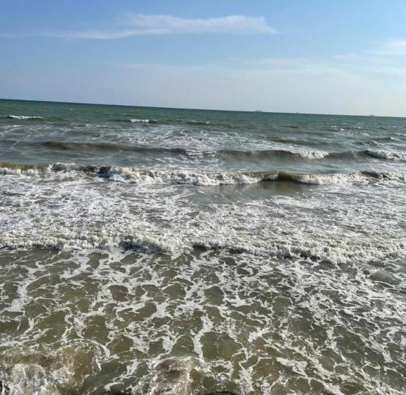 豪华工作室, Bukhta