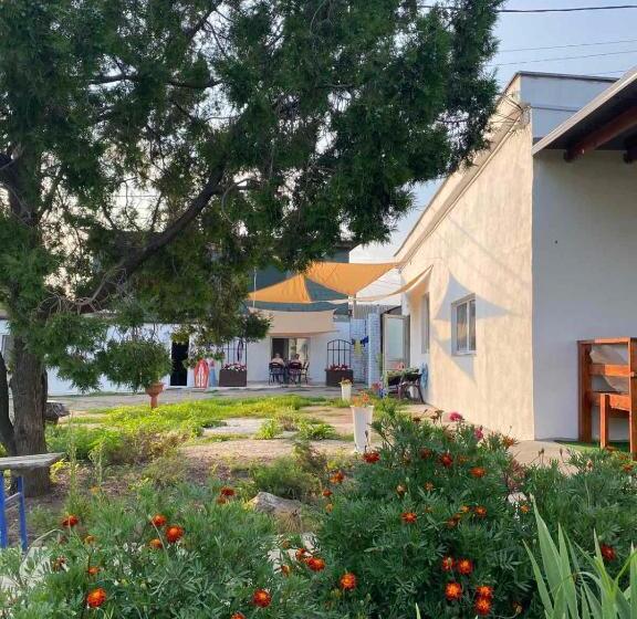 豪华工作室, Bukhta