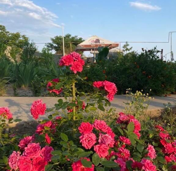 豪华工作室, Bukhta