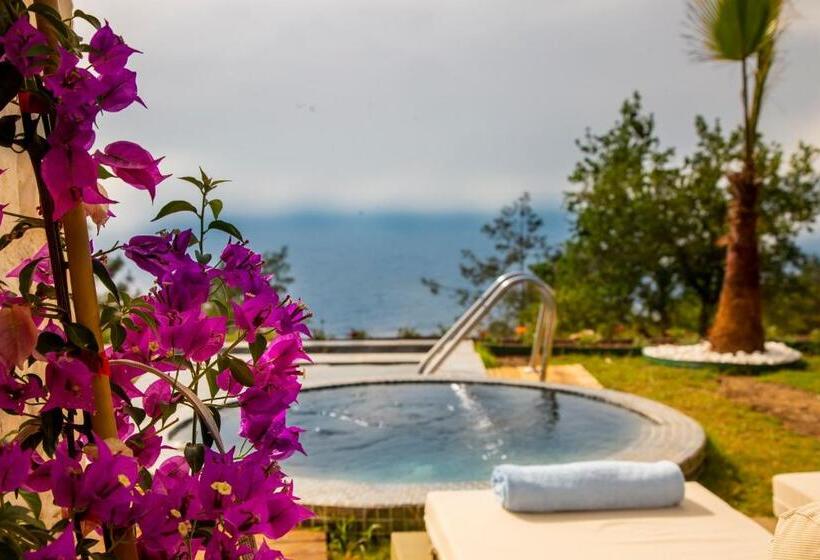 Люкс Повышенной Комфортности, Vista Del Amor Faralya