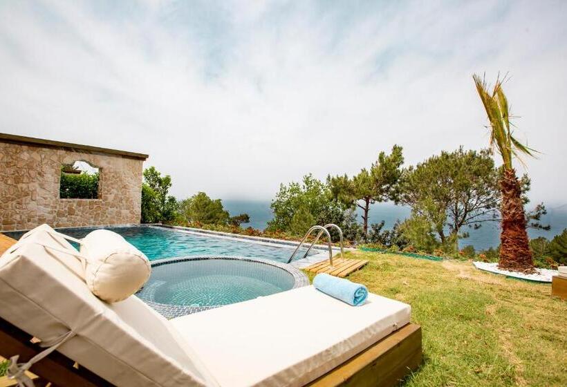 Люкс Повышенной Комфортности, Vista Del Amor Faralya