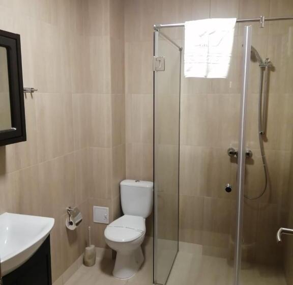 Номер Deluxe с Балконом, Pensiunea Lara