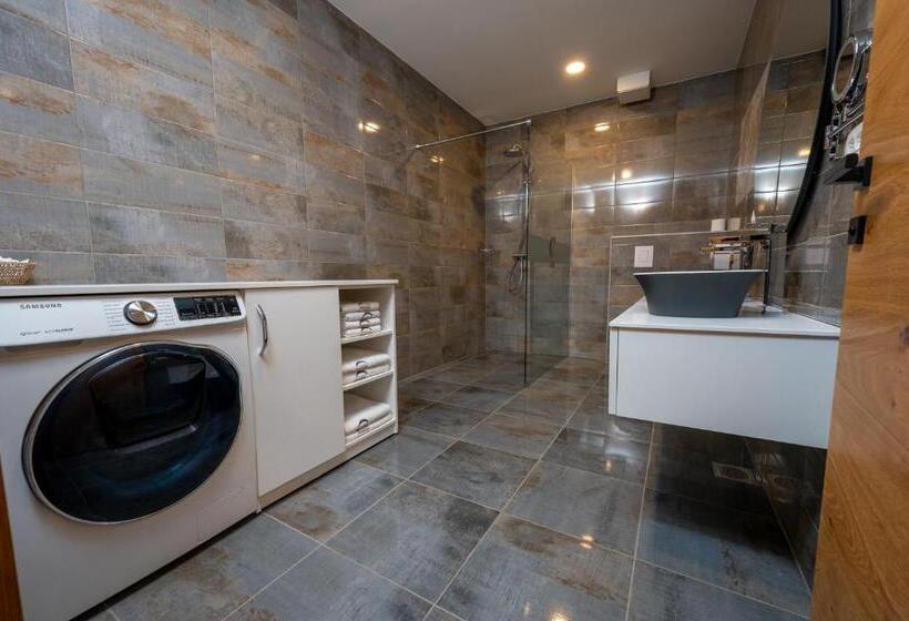 1 Bedroom Penthouse Apartment, Cirus Apartments