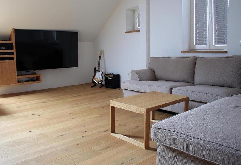 1 Bedroom Penthouse Apartment, Cirus Apartments